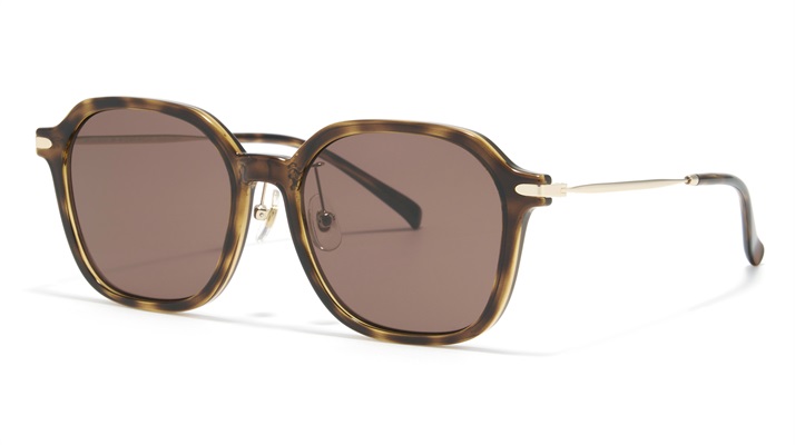 2026 潮流墨鏡系列(木紋綜-286-brown)